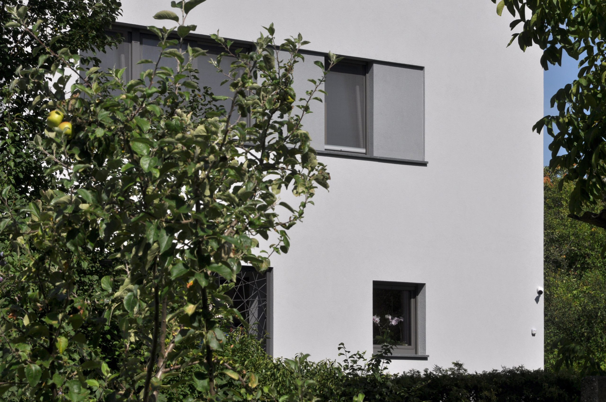 Domus B.2